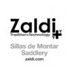 logo Zaldi.jpg