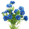 Kornblume_55cm_blau_4St_63151-1.jpg