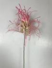 Bodlák Frost 36 cm, růžový 