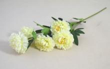Chryzantéma 5 květů, 59cm bílá 