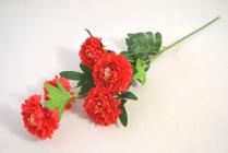 Chryzantéma 5 květů, 59cm. červená 