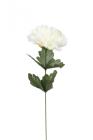 Chryzantéma 50 cm, bílá 