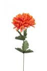 Chryzantéma 50 cm, oranžová 