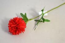 Chryzantéma 60 cm, červená 