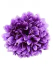 Chryzantéma hlava 15 cm, fialová 
