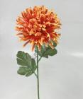 Chryzantéma oranžová 60 cm 