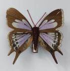 Dekorační motýl, střední 8 cm, hnědo-modrý 