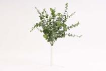 Eukalyptus 38 cm 