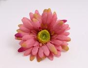 Gerbera 9 cm, růžovo-zelená 
