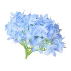 Hlava hortenzie  12 cm, modrá 