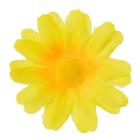 Hlava kopretiny 4 cm, žlutá 