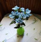 Kalanchoe 21 cm 