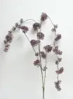 Kalina 148 cm, fialová 