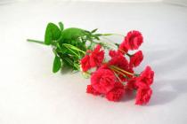 Karafiát kytice 32cm červeno růžová  