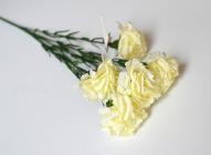 Karafiát mini, 5 květů, 50 cm, bílá 