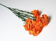 Karafiát mini, 5 květů, 50 cm, oranžová 
