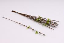 Kočičiky s lístky 50 cm šedé 