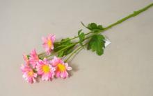 Kopretina 6 květů 50 cm růžová 