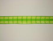 Kostková stuha s monofilem a drátem, 25mm, zelená 
