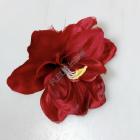 Květ amarylis 15 cm, červený - zlatý okraj 