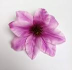 Květ clematis 12 cm fialový 