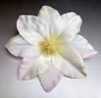 Květ clematis 12 cm smetanový 