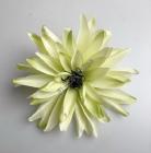 Květ jiřina 12 cm žlutozelená 