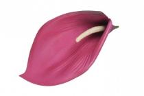 Květ kala 20 cm fialová 