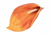 Květ kala 20 cm oranžová 
