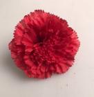Květ karafiát 8 cm - červený 