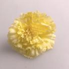 Květ karafiát 8 cm - žlutý 