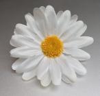 Květ kopretina 6 cm bílá 