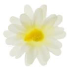 Květ kopretiny 4 cm, bílá 
