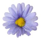 Květ kopretiny 4 cm, fialová 