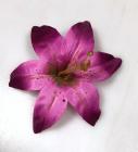 Květ lilie 12 cm fialová 
