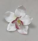 Květ orchidea 8 cm, bílá 