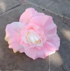 Květ růže 10 cm, růžová + blebý střed 