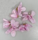 Květ sakura 5-7 cm růžový 