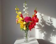 Kytice gladiolů a chrizammtém 