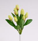 Kytice tulipánů 37 cm, světle zelená 