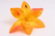 Lilie květ 16 cm oranžová 
