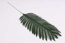 List palma 60 cm, zelená 