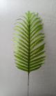 List palmy 50 cm , zelený 