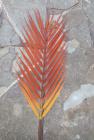 List palmy 60 cm, žluto-červený 