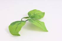 Listy růže 10 cm světle zelená 