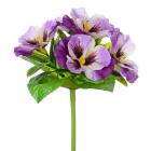 Maceška 22 cm, fialová 