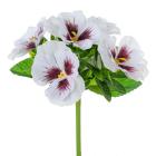 Maceška 22 cm,bílé 