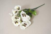 Maceška 6 výhonků 35 cm krémová 