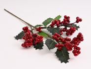 Mahonie s bobulemi 40 cm, červená 