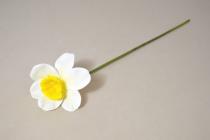 Narcis 40 cm bílý 